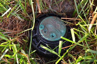 a recently installed sprinkler head